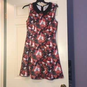 Alice in Wonderland Peter Pan Collar dress